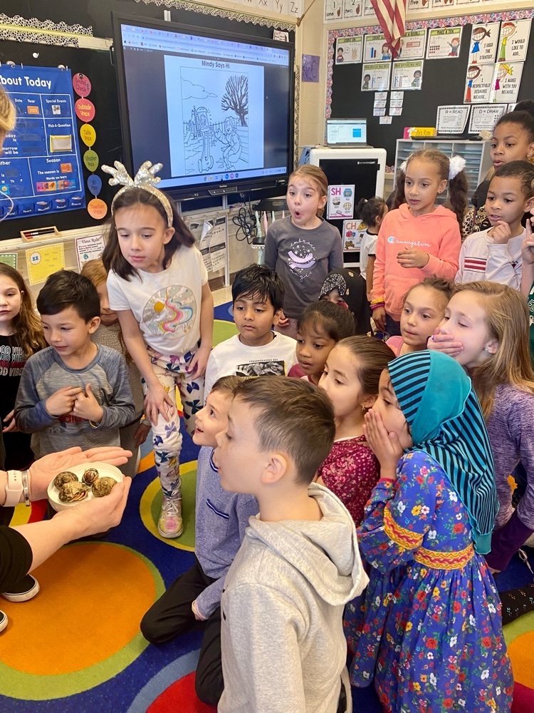 Burke First Graders received some new little friends today! We will have so much fun taking care of and learning all about our new class pets! 