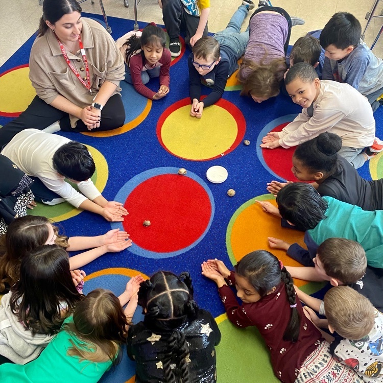 Burke First Graders received some new little friends today! We will have so much fun taking care of and learning all about our new class pets!